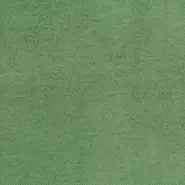 Ananda Plain (F8000-06)